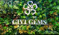Tuyển nhân viên chốt đơn đóng gói – Shop Givi Gems Tuyển nhân viên chốt đơn đóng gói – Shop Givi Gems