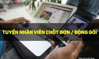 Tuyển nhân viên chốt đơn, đóng gói – Shop Giày Tuyển nhân viên chốt đơn, đóng gói – Shop Giày