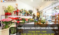 Tuyển nhân viên chốt đơn và phụ việc Tuyển nhân viên chốt đơn và phụ việc