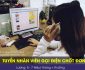 Tuyển nhân viên gọi điện chốt đơn – Shop Linh Store Tuyển nhân viên gọi điện chốt đơn – Shop Linh Store