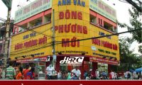 Tuyển nhân viên tư vấn, hỗ trợ lớp học – Trung tâm Anh Ngữ Đông Phương Mới Tuyển nhân viên tư vấn, hỗ trợ lớp học – Trung tâm Anh Ngữ Đông Phương Mới