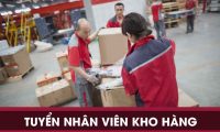 Tuyển nhân viên kho – Công ty TNHH XNK Thương mại và Dịch vụ tổng hợp Kim Bảo Khánh Tuyển nhân viên kho – Công ty TNHH XNK Thương mại và Dịch vụ tổng hợp Kim Bảo Khánh
