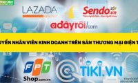 Tuyển nhân viên kinh doanh sàn thương mại điện tử – Công ty KLC Tuyển nhân viên kinh doanh sàn thương mại điện tử – Công ty KLC