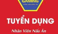 Tuyển nhân viên nấu ăn – Quán Apex Gaming Tuyển nhân viên nấu ăn – Quán Apex Gaming
