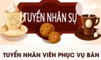 Tuyển nhân viên bán hàng – Công ty Dương Cafe Tuyển nhân viên bán hàng – Công ty Dương Cafe