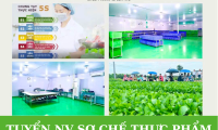 Tuyển nhân viên sơ chế thực phẩm – Công Ty TNHH Thực Phẩm Hà Nội Xanh Tuyển nhân viên sơ chế thực phẩm – Công Ty TNHH Thực Phẩm Hà Nội Xanh