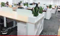Tuyển nhân viên telesales – Công ty Dai-ichi Tuyển nhân viên telesales – Công ty Dai-ichi
