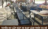 Tuyển nhân viên lắp ráp xe đạp thời vụ bao ăn ở – Công ty TNHH SXTM Việt Hùng Tuyển nhân viên lắp ráp xe đạp thời vụ bao ăn ở – Công ty TNHH SXTM Việt Hùng