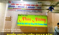 Tuyển nhân viên phục vụ ca tối – Quán Nhậu Nướng Tú Mỡ Tuyển nhân viên phục vụ ca tối – Quán Nhậu Nướng Tú Mỡ