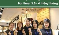 Tuyển nhân viên bán hàng – Hệ thống thời trang Parkstyle Tuyển nhân viên bán hàng – Hệ thống thời trang Parkstyle