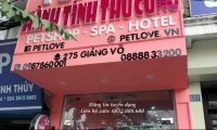 Tuyển nhân viên bán hàng, chăm sóc thú cưng – Shop PetLove Tuyển nhân viên bán hàng, chăm sóc thú cưng – Shop PetLove