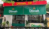 Tuyển nhân viên phục vụ – Quán cà phê Dilmah Tuyển nhân viên phục vụ – Quán cà phê Dilmah