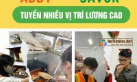 Tuyển gấp nhiều vị trí lương cao – Cửa hàng Abby và Savor Tuyển gấp nhiều vị trí lương cao – Cửa hàng Abby và Savor
