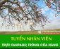 Tuyển nhân viên bán hàng, quản lý – Studio Chụp Ảnh Đẹp Tuyển nhân viên bán hàng, quản lý – Studio Chụp Ảnh Đẹp