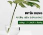 Tuyển nhân viên bán hàng thời trang – Shop Mon Amie Tuyển nhân viên bán hàng thời trang – Shop Mon Amie