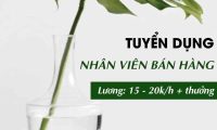 Tuyển nhân viên bán hàng thời trang – Shop Mon Amie Tuyển nhân viên bán hàng thời trang – Shop Mon Amie