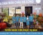 Tuyển nhân viên phục vụ – Sữa chua trân châu Hạ Long Tuyển nhân viên phục vụ – Sữa chua trân châu Hạ Long