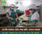 Tuyển nhân viên phụ bếp, giao hàng – Công ty Thảo Nguyên Tuyển nhân viên phụ bếp, giao hàng – Công ty Thảo Nguyên