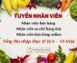Tuyển nhân viên bán hàng, sơ chế, bán hàng online – Công ty Thực Phẩm Sạch Đông Dương Tuyển nhân viên bán hàng, sơ chế, bán hàng online – Công ty Thực Phẩm Sạch Đông Dương