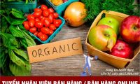 Tuyển nhân viên bán hàng – Công ty Đông Dương chuyên sỉ và lẻ trái cây, thực phẩm Tuyển nhân viên bán hàng – Công ty Đông Dương chuyên sỉ và lẻ trái cây, thực phẩm