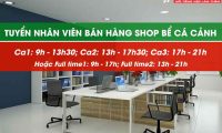 Tuyển nhân viên trợ lý, bán hàng, thu ngân – Cửa hàng Thủy Sinh Tím Tuyển nhân viên trợ lý, bán hàng, thu ngân – Cửa hàng Thủy Sinh Tím