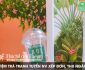 Tuyển nhân viên xếp đơn kiêm thu ngân – Cửa hàng trà chanh Bụi Phố Tuyển nhân viên xếp đơn kiêm thu ngân – Cửa hàng trà chanh Bụi Phố