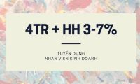 Tuyển nhân viên kinh doanh, telesales – Công ty Cổ phần Đầu tư và Phát triển Times Holding Tuyển nhân viên kinh doanh, telesales – Công ty Cổ phần Đầu tư và Phát triển Times Holding