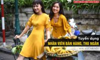 Tuyển nhân viên bán hàng, thu ngân – Hệ Thống Thời Trang Torano Tuyển nhân viên bán hàng, thu ngân – Hệ Thống Thời Trang Torano