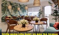 Tuyển nhân viên phục vụ bàn – Trà Dilmah 32 Điện Biên Phủ Tuyển nhân viên phục vụ bàn – Trà Dilmah 32 Điện Biên Phủ