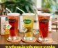 Tuyển nhân viên phục vụ bàn – Quán trà Dilmah Tuyển nhân viên phục vụ bàn – Quán trà Dilmah