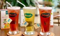Tuyển nhân viên phục vụ bàn – Quán trà Dilmah Tuyển nhân viên phục vụ bàn – Quán trà Dilmah