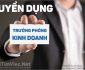 Tuyển trưởng phòng kinh doanh – Công ty 3Q Tuyển trưởng phòng kinh doanh – Công ty 3Q