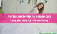 [HN] Tuyển nhân viên tư vấn khách hàng – Nhãn hiệu áo cưới Lucy’s Dream Lace
