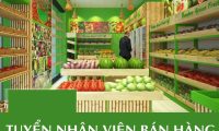 Tuyển nhân viên bán hàng cửa hàng thực phẩm sạch Tuyển nhân viên bán hàng cửa hàng thực phẩm sạch