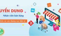 Tuyển nhân viên quản lý và phát triển – Gian hàng thương mại điện tử Tuyển nhân viên quản lý và phát triển – Gian hàng thương mại điện tử