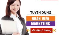Tuyển nhân viên Marketing lương cao – Công ty Pok Tuyển nhân viên Marketing lương cao – Công ty Pok