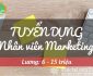 Tuyển nhân viên marketing – TTNHH Thương Mại Dịch Vụ Và Đầu Tư Land Việt Tuyển nhân viên marketing – TTNHH Thương Mại Dịch Vụ Và Đầu Tư Land Việt