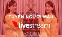 Tuyển mẫu livestream bán hàng – Shop thời trang Tây Boutique Tuyển mẫu livestream bán hàng – Shop thời trang Tây Boutique