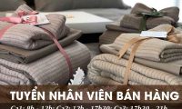 Tuyển nhân viên bán hàng – Cửa hàng chăn ga gối ca cấp Nap Tuyển nhân viên bán hàng – Cửa hàng chăn ga gối ca cấp Nap