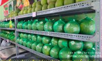 Tuyển nhân viên bán hàng – Công ty Đông Dương Tuyển nhân viên bán hàng – Công ty Đông Dương