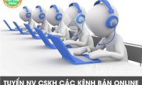 Tuyển nhân viên chăm sóc khách hàng parttime Tuyển nhân viên chăm sóc khách hàng parttime