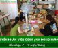 Tuyển nhân viên chăm sóc khách hàng, đóng gói – Công ty thuốc nam gia truyền Quang Vinh Tuyển nhân viên chăm sóc khách hàng, đóng gói – Công ty thuốc nam gia truyền Quang Vinh