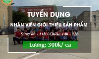Tuyển nhân viên thời vụ – lương 300k/ca – giới thiệu sản phẩm – Công ty Ebisu Tuyển nhân viên thời vụ – lương 300k/ca – giới thiệu sản phẩm – Công ty Ebisu
