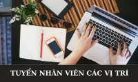 Tuyển nhân viên sale kiêm kho, hỗ trợ truyền thông