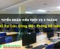 Tuyển nhân viên thời vụ 2 tháng hỗ trợ kế toán – Công ty TNHH Dịch Vụ Thông Tin Di Động Tuyển nhân viên thời vụ 2 tháng hỗ trợ kế toán – Công ty TNHH Dịch Vụ Thông Tin Di Động