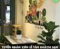 Tuyển nhân viên lễ tân – Nhà nghỉ The JOY Hostel Tuyển nhân viên lễ tân – Nhà nghỉ The JOY Hostel