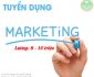 Tuyển nhân viên marketing – Alora Shop Tuyển nhân viên marketing – Alora Shop