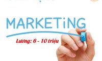 Tuyển nhân viên marketing – Alora Shop Tuyển nhân viên marketing – Alora Shop