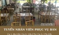 Tuyển nhân viên phục vụ – Quán bánh bèo Tư Dũ