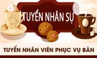 Tuyển nhân viên bán hàng – Công ty Dương Cafe Tuyển nhân viên bán hàng – Công ty Dương Cafe